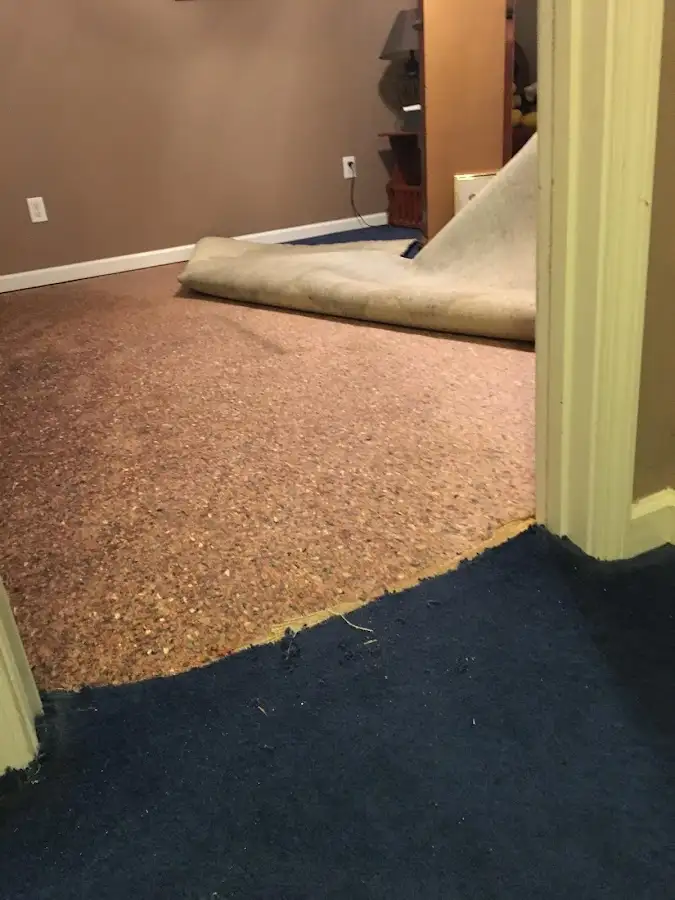 Carpet pad removal revealing water damage during Water Mitigation Services in Potomac Park