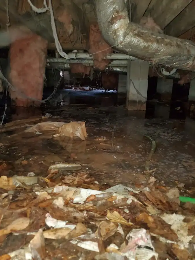 Crawl space flood assessment for Leak Detection & Repair in Potomac Park
